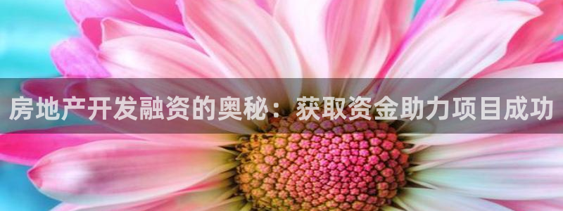 永利集团董事长什么级别