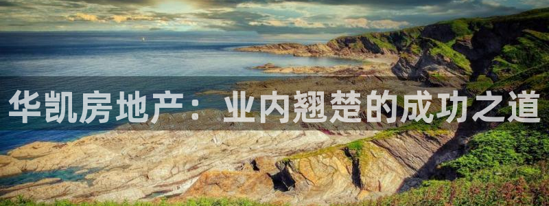 永利地产