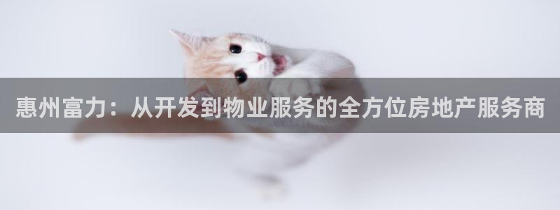 永利皮具
