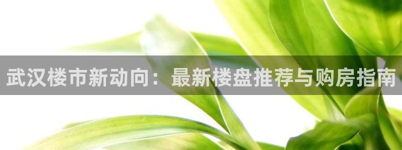 永利输的钱可以弄回来吗