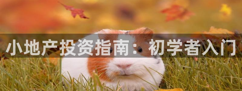 永利皮革有限公司