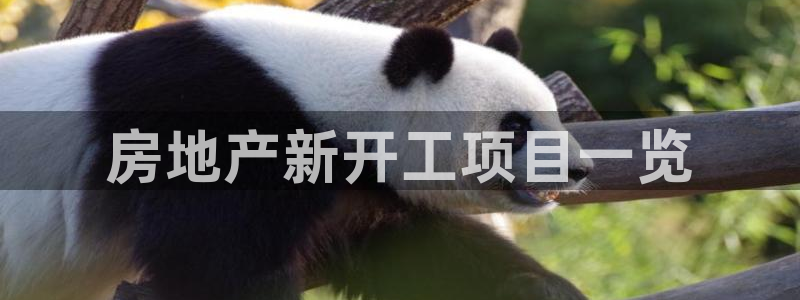 永利皮革