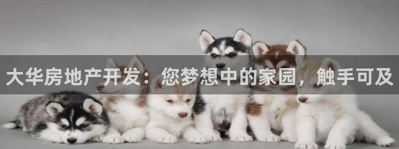 永利积分兑换