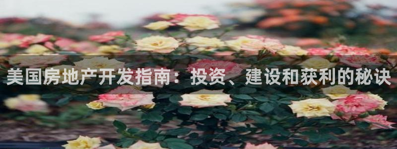 永利账号交易