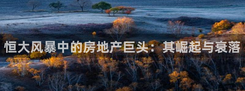 永利有限公司