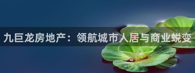 永利运动鞋