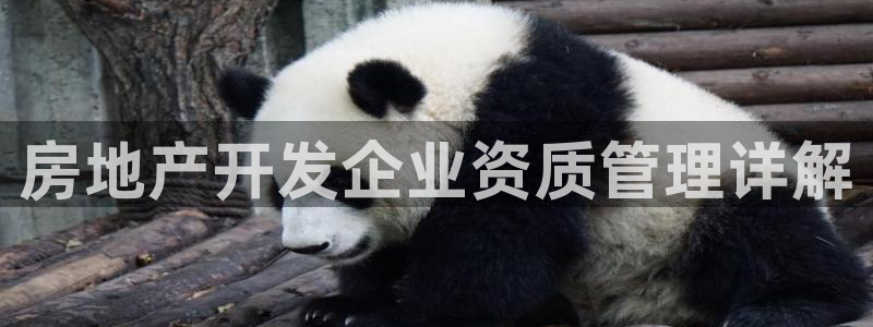 永利电影