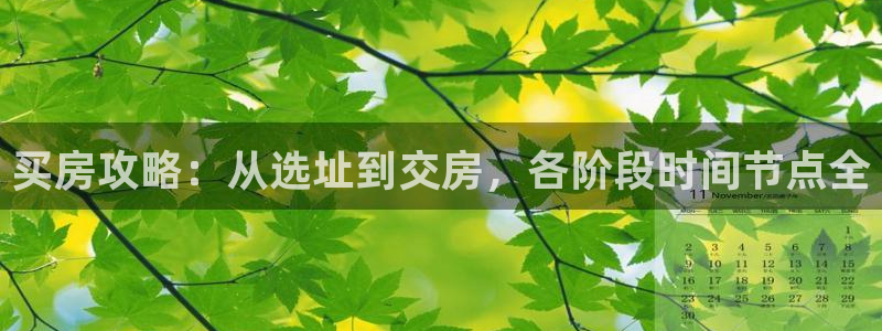 永利汇茶具怎么样