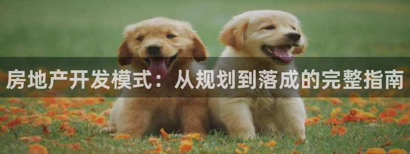 永利官网总站入口在哪