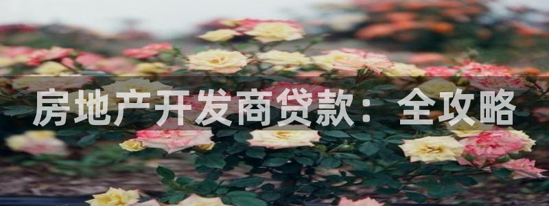 永利皮革有限公司怎么样