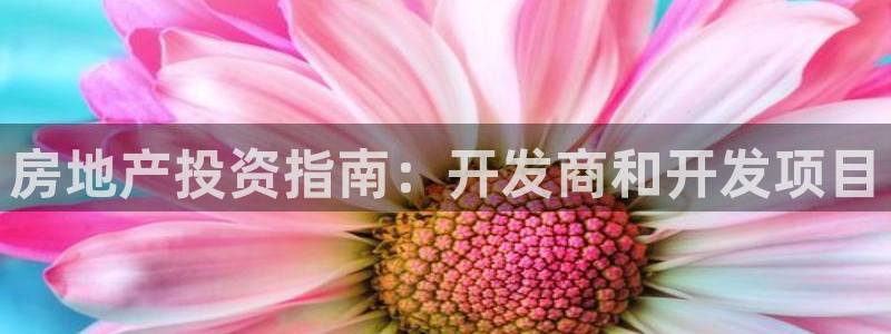 永利酒店有几家
