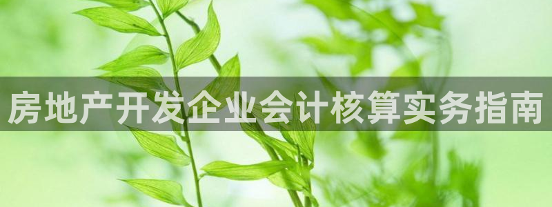 永利网怎么了打不开