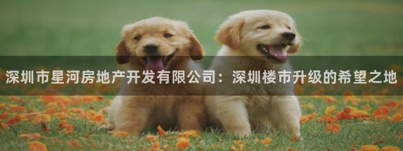 永利房地产开发有限公司总经理