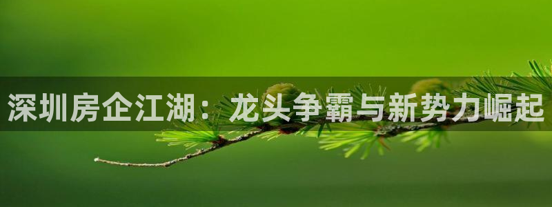 山东永利新材料