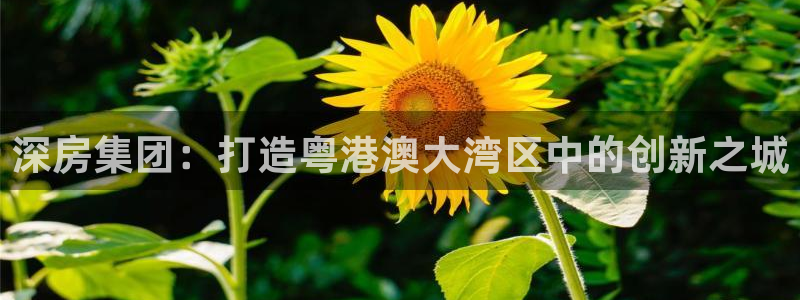 永利纺织有限公司