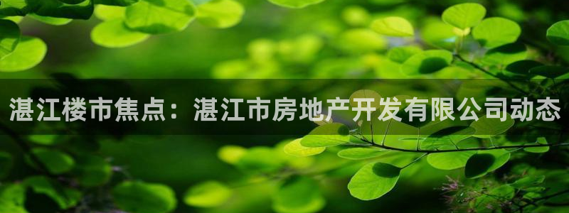 金沙永利夜总会怎么样