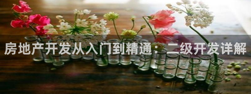 永利钻石会员