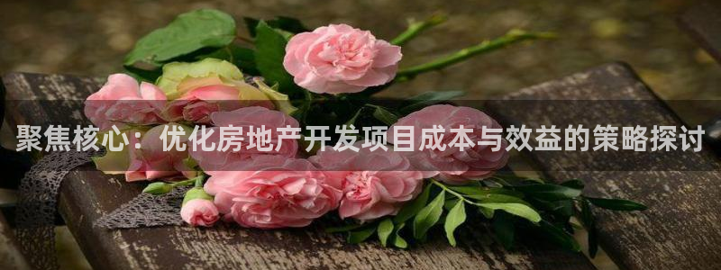 澳门永利集团简介