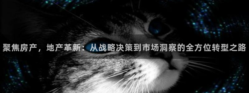澳门 永利
