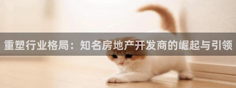 永利网输了几十万