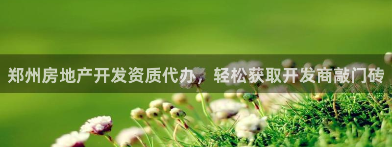 永利皮带型号