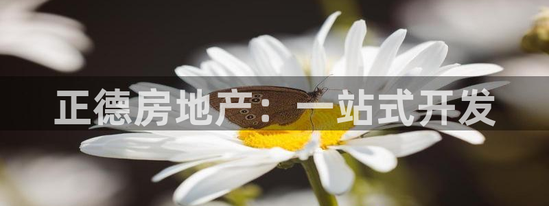 永利网9900777公司的地址