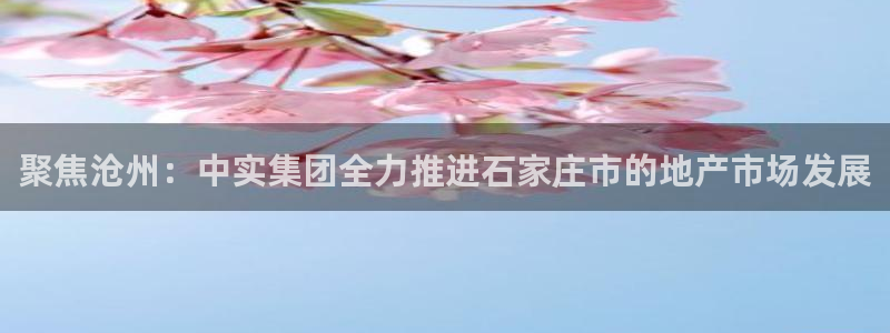 永利金控控股有限公司
