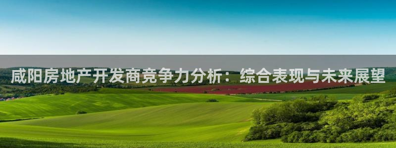 永利汇有什么服务