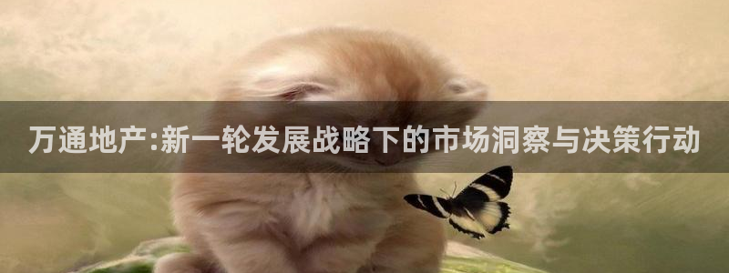 永利官网查询系统