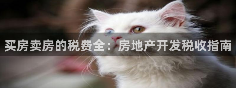 永利实业集团