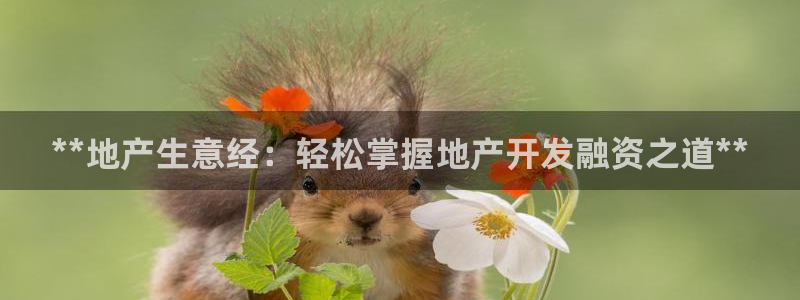 永利官网误乐域一个币多少钱
