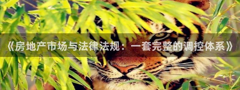 14m永利官网
