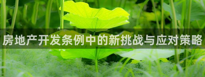 浙江永利集团董事长