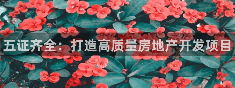 永利制带