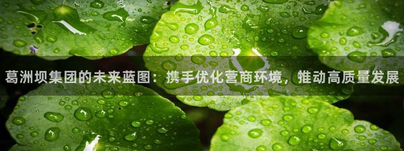 3044am永利集团 官网
