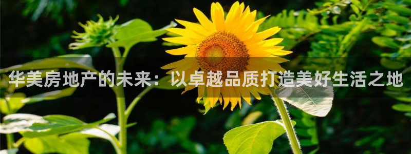 永利输的钱可以弄回来吗安全吗