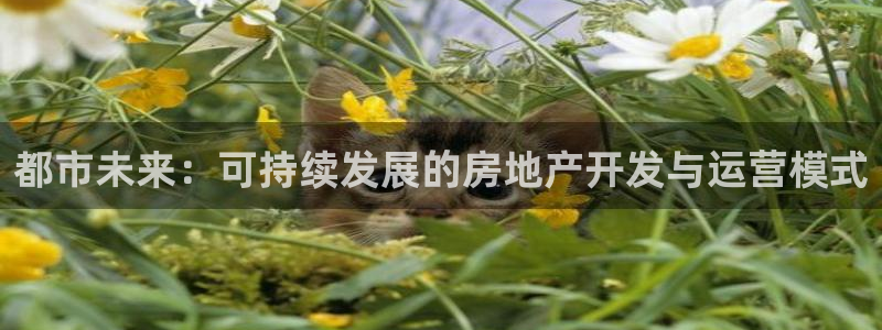 永利中国葡萄酒大赛 银奖获奖名单