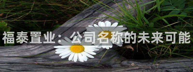 永利不给提款怎么办?