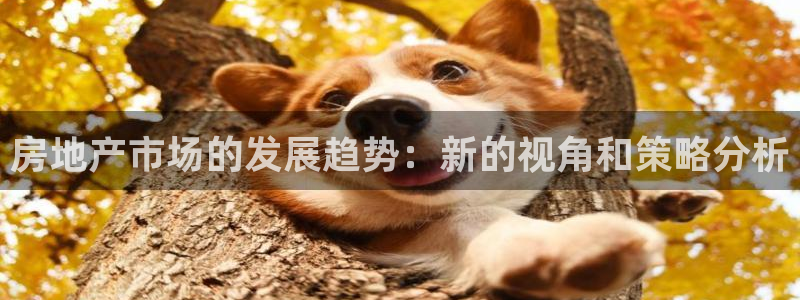 永利链条