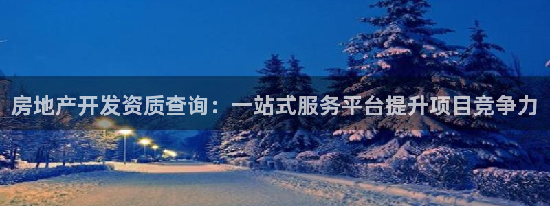 永利皮带型号