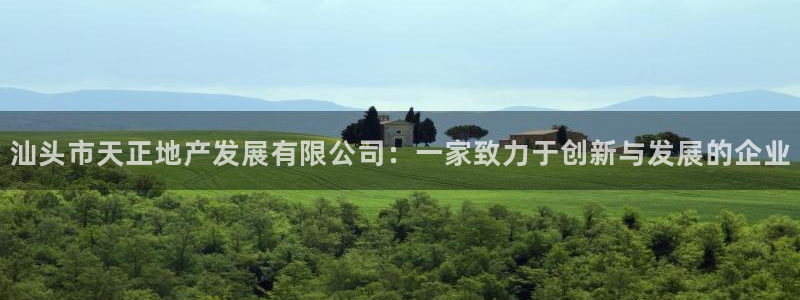 永利官网是什么