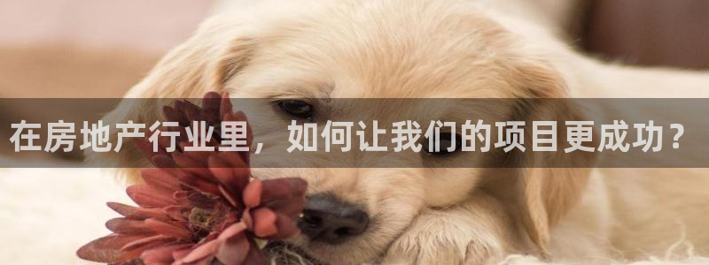 永利股份是什么板块股票?